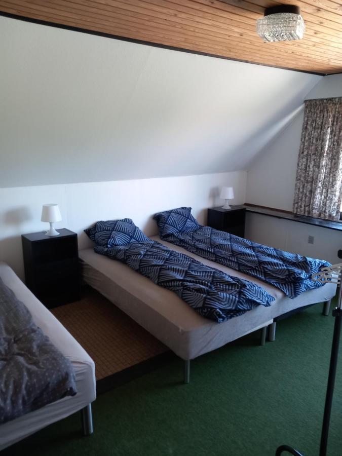 Vila Alexandra Hotel Bække Екстериор снимка